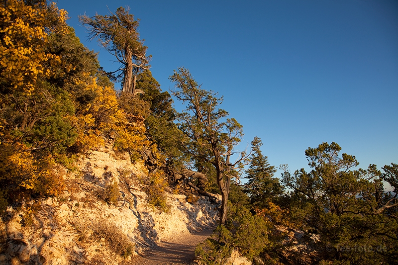 Pfad zum Aussichtspunkt